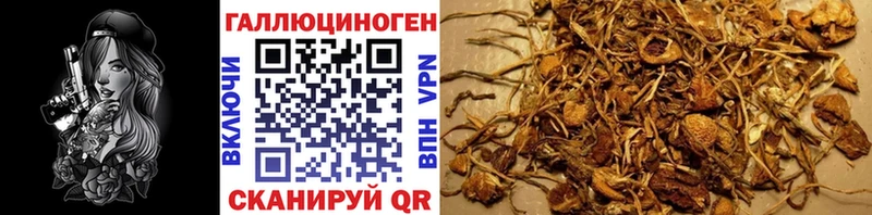 Псилоцибиновые грибы ЛСД  Купить  Зеленогорск 